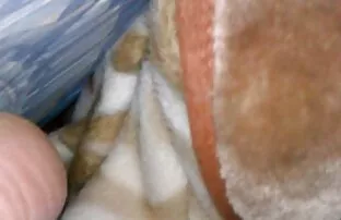XXX Busty赤毛マッサージ師seduces恐竜金髪ト 女性 無料 エッチ ビデオ